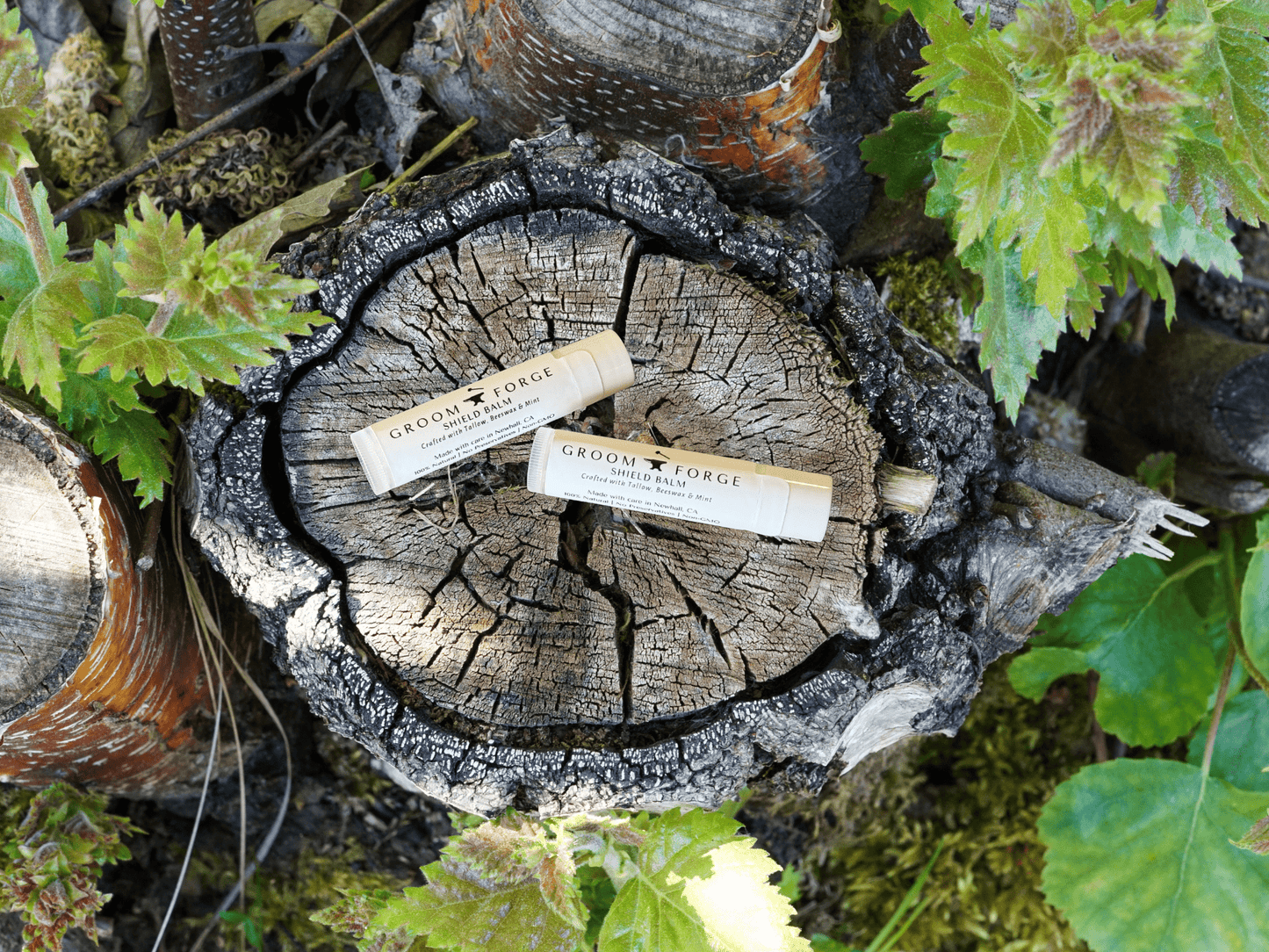 Groom + Forge Shield Balm - Rooted Traditions Co