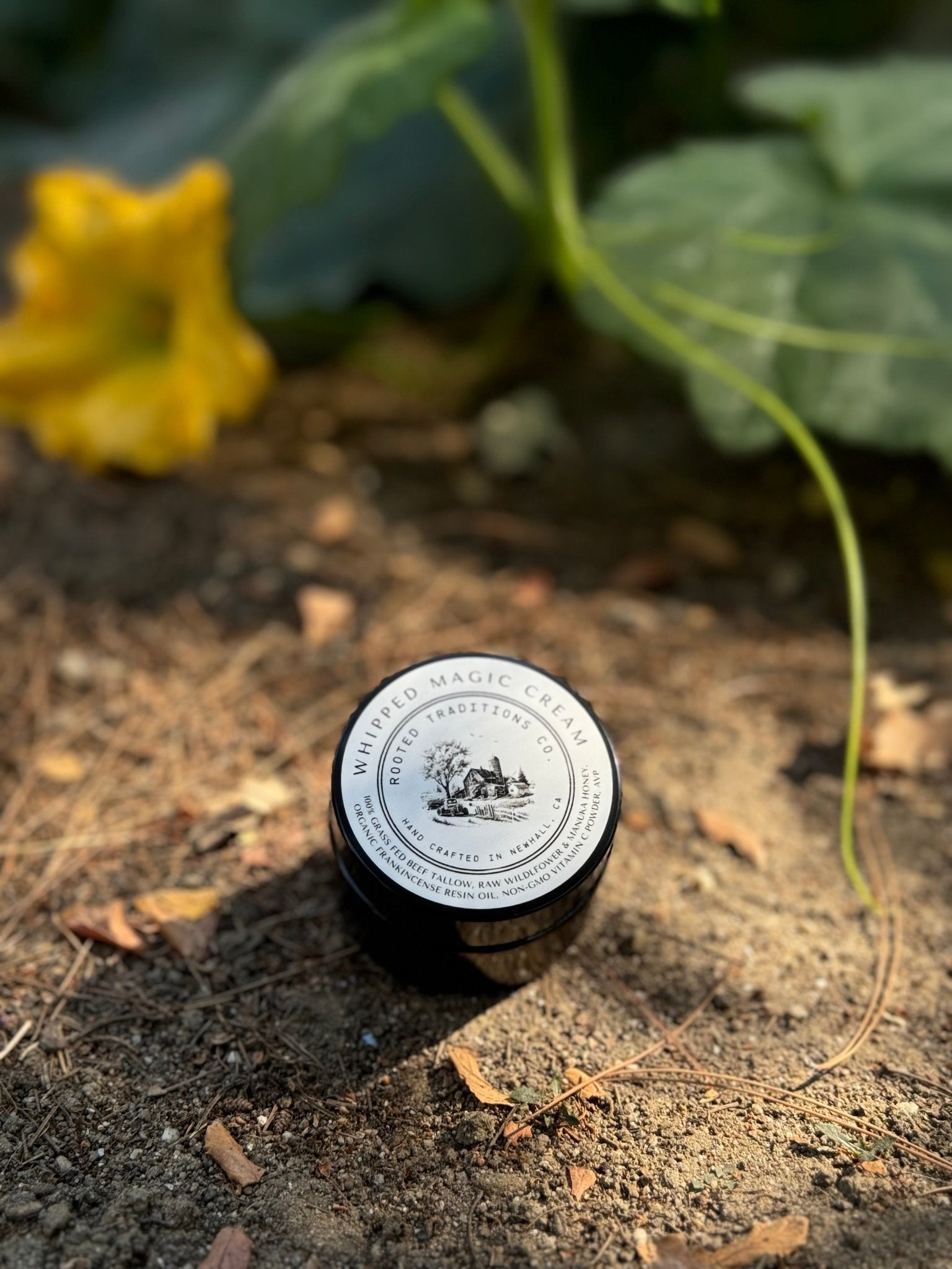 Whipped Magic Cream - Revitalizing and Powerful Exfoliating Formula - Rooted Traditions Co